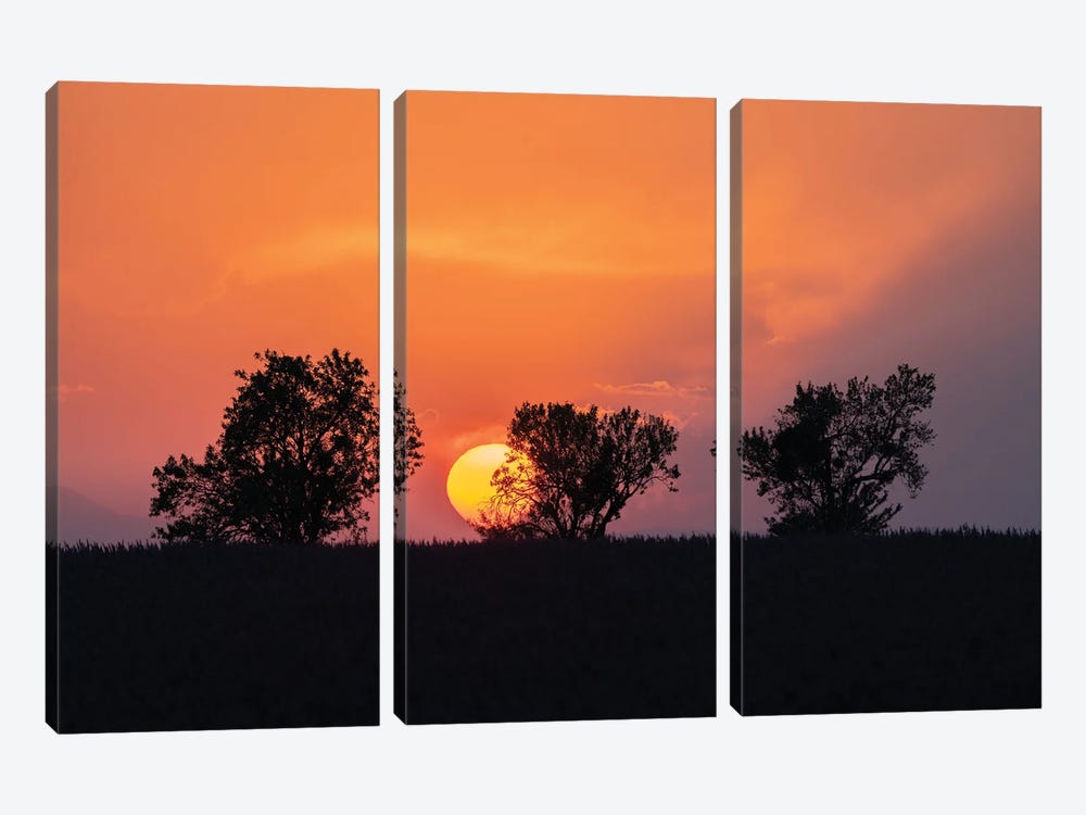 Valensole Sunset, Provence, France by Jim Nilsen 3-piece Canvas Art