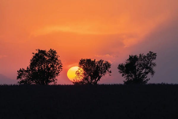 Jim Nilsen: Valensole Sunset, Provence, France by Jim Nilsen