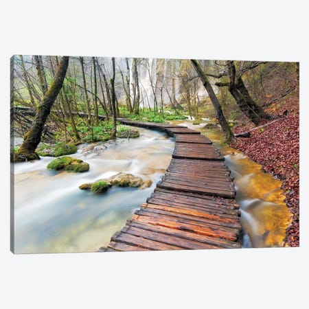 A Walk In The Woods, Plitvice Lakes National Park, Croatia Canvas Print #NIL3} by Jim Nilsen Canvas Print