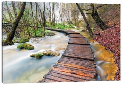 A Walk In The Woods, Plitvice Lakes National Park, Croatia Canvas Art Print - Autumn & Thanksgiving