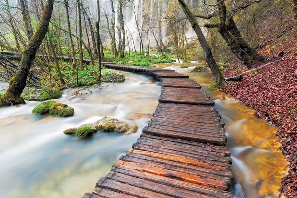 Nautical: A Walk In The Woods, Plitvice Lakes National Park, Croatia by Jim Nilsen