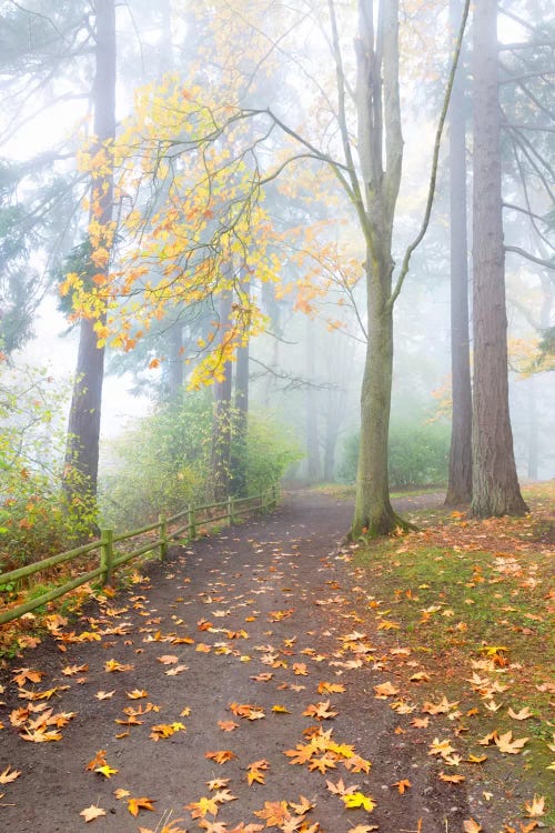 Along The Bluff, Seattle, Washington