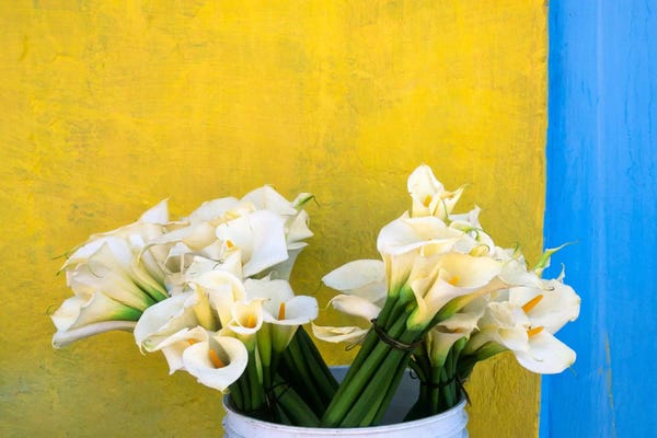 Still Life Photography: The Blue Stripe, Xico, Mexico by Jim Nilsen