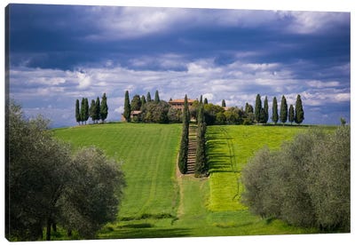 The Way Home, Tuscany, Italy Canvas Art Print - Cypress Tree Art