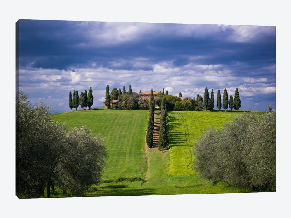 The Way Home, Tuscany, Italy by Jim Nilsen 1-piece Canvas Artwork