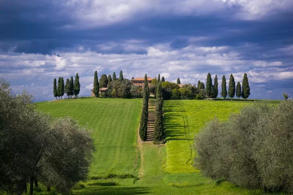 Vineyards: The Way Home, Tuscany, Italy by Jim Nilsen