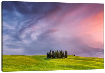 To The Heavens, Tuscany, Italy Canvas Art Print - Cloudy Sunset Art