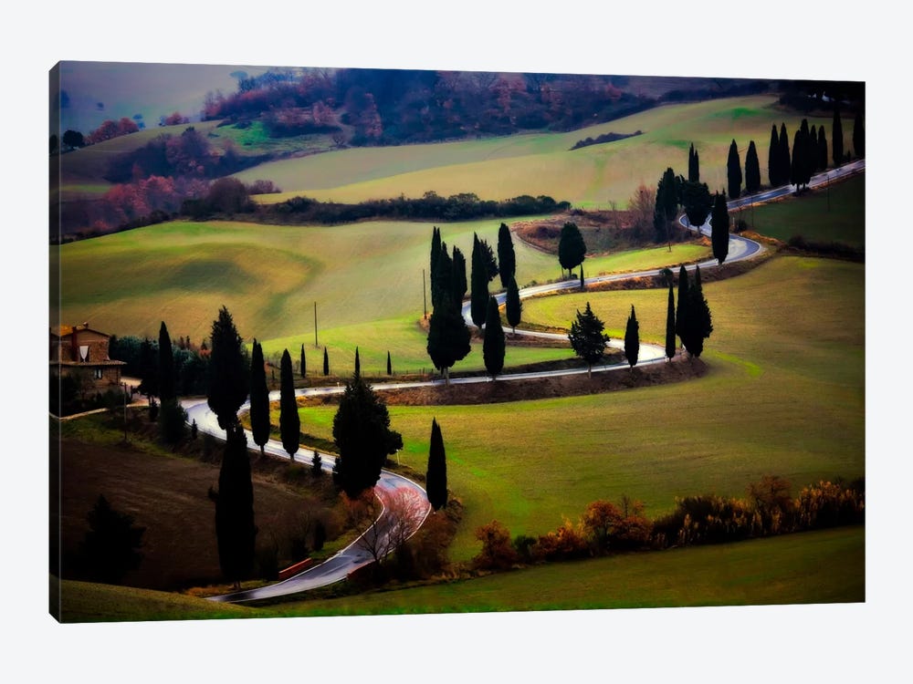 Tuscan Serpent, Tuscany, Italy by Jim Nilsen 1-piece Canvas Art