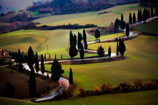 Jim Nilsen: Tuscan Serpent, Tuscany, Italy by Jim Nilsen