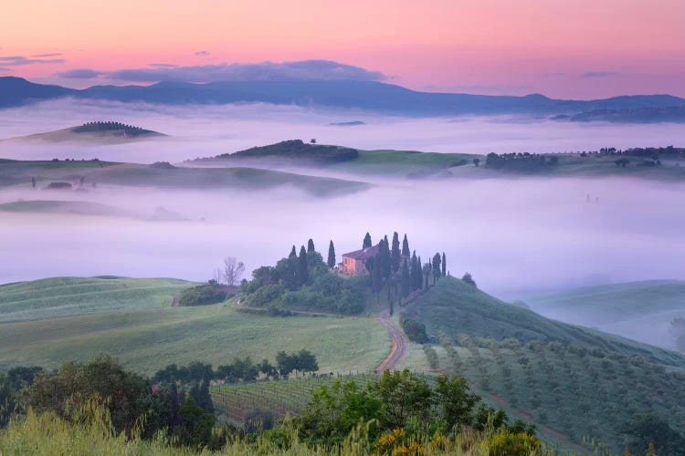 When The Rooster Crows, Tuscany, Italy