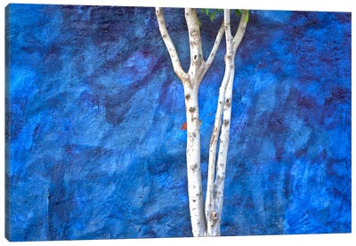 White On Blue, Ajijic, Mexico Canvas Art Print - Aspen Tree Art