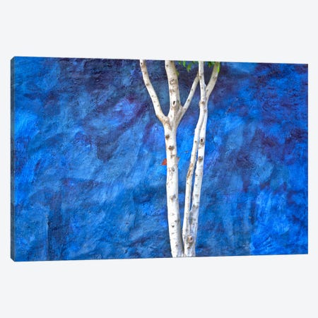 White On Blue, Ajijic, Mexico Canvas Print #NIL77} by Jim Nilsen Canvas Art