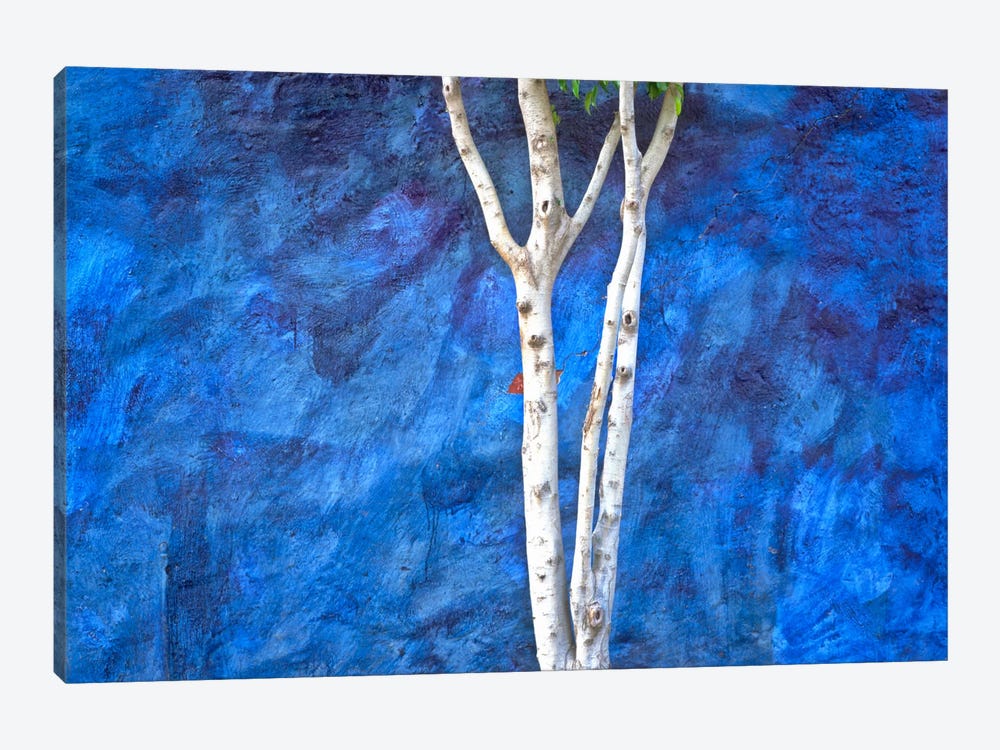 White On Blue, Ajijic, Mexico by Jim Nilsen 1-piece Canvas Wall Art
