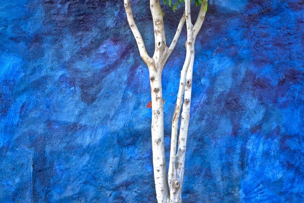 Jim Nilsen: White On Blue, Ajijic, Mexico by Jim Nilsen
