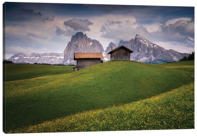 Alpine Delight, Dolomites, Italy Canvas Art Print - Jim Nilsen