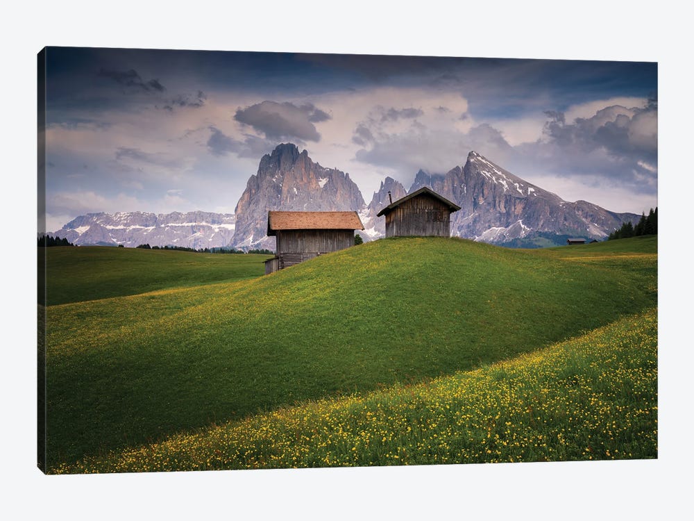 Alpine Delight, Dolomites, Italy by Jim Nilsen 1-piece Canvas Art Print