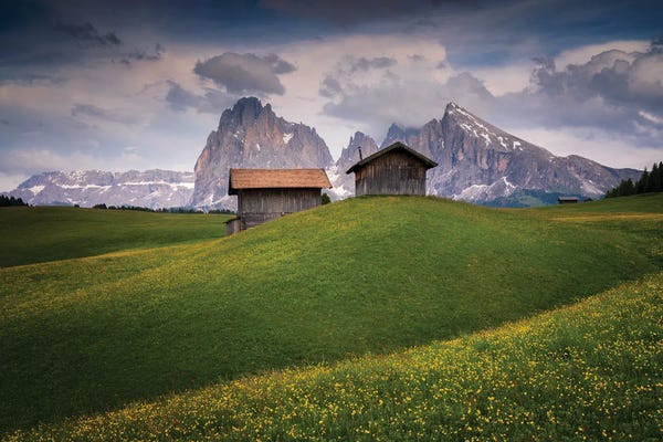 Jim Nilsen: Alpine Delight, Dolomites, Italy by Jim Nilsen