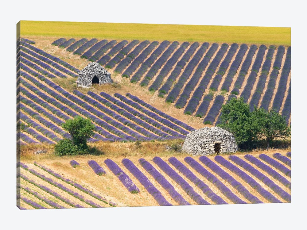 Bories & Lavender, Provence, France by Jim Nilsen 1-piece Canvas Wall Art