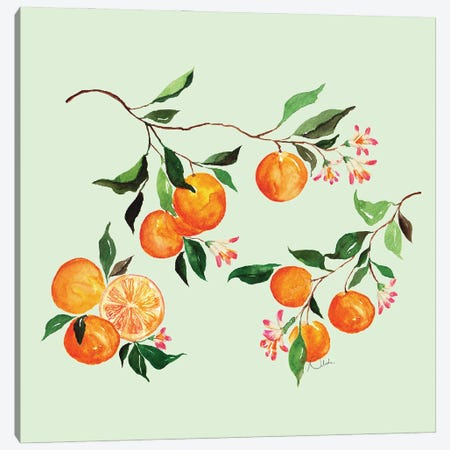 Oranges Galore Canvas Print #NJP63} by Natasha Joseph Canvas Art