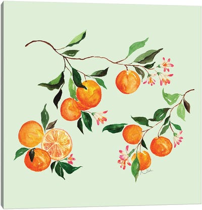 Oranges Galore Canvas Art Print - Natasha Joseph