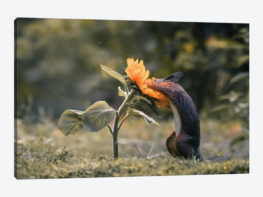 Flower Smell by Niki Colemont 1-piece Canvas Print
