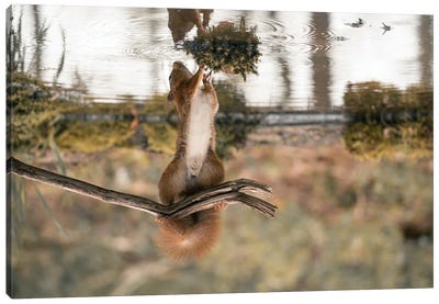 Hanging Inception Canvas Art Print - Squirrel Art