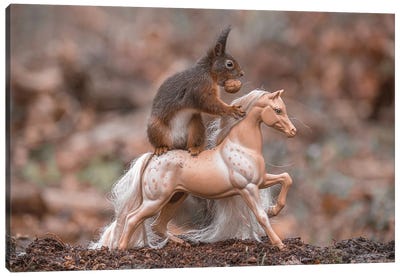 Horse Rider Canvas Art Print - Squirrel Art