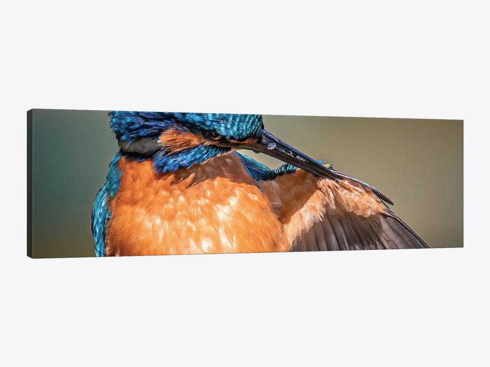 Kingfisher Clean by Niki Colemont 1-piece Art Print