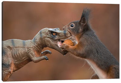Learn To Share! Ii Canvas Art Print - Squirrel Art
