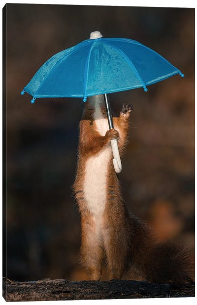 Umbrella Man Canvas Art Print - Squirrel Art