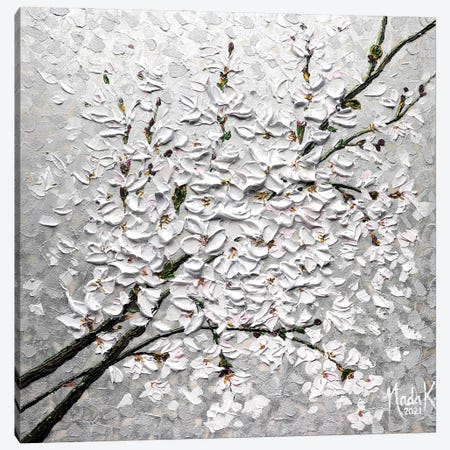 Petals In The Sky - Silver Gray White Canvas Print #NKH103} by Nada Khatib Canvas Art