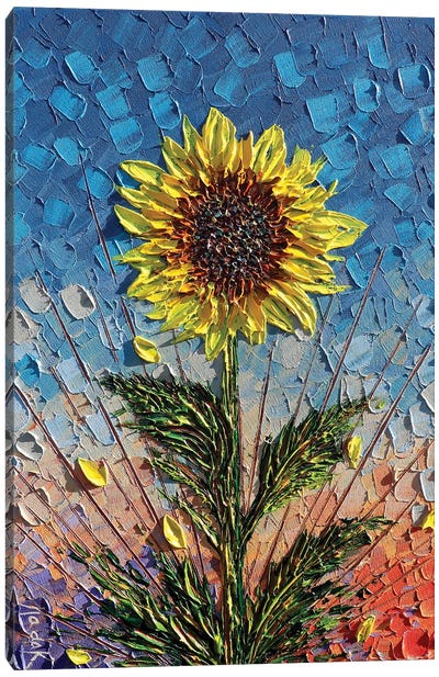 Single Sunflower - Blue Yellow Orange Canvas Art Print - Nada Khatib
