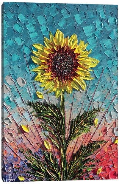 Single Sunflower - Turquoise Yellow Pink Canvas Art Print - Nada Khatib