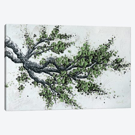 Big Bloom - Sage Green Canvas Print #NKH150} by Nada Khatib Canvas Art Print
