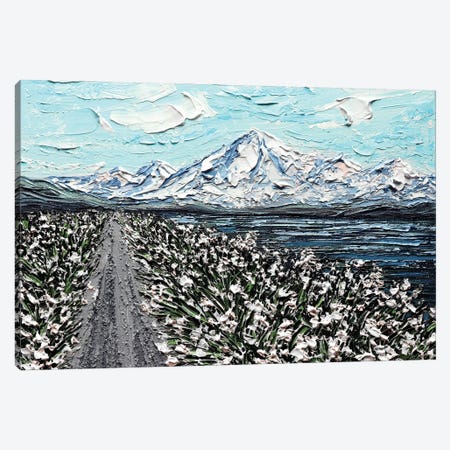 BC Mountain - Gray White Canvas Print #NKH19} by Nada Khatib Canvas Artwork