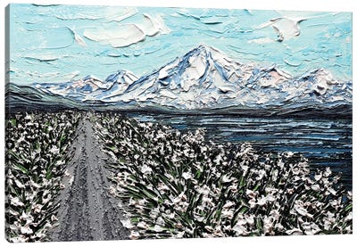 BC Mountain - Gray White Canvas Art Print - Nada Khatib