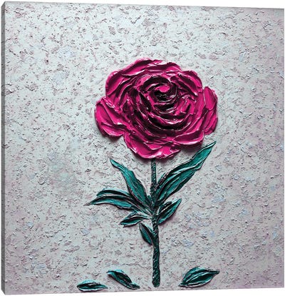 Bold Beauty - Hot Pink Magenta Canvas Art Print - Nada Khatib