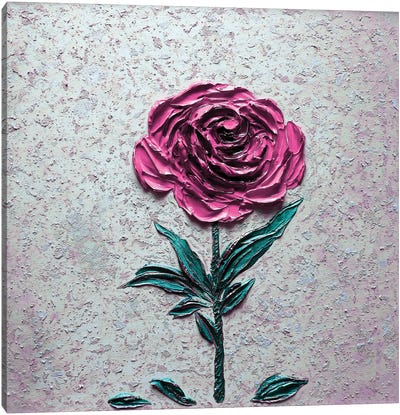 Bold Beauty - Pink Canvas Art Print