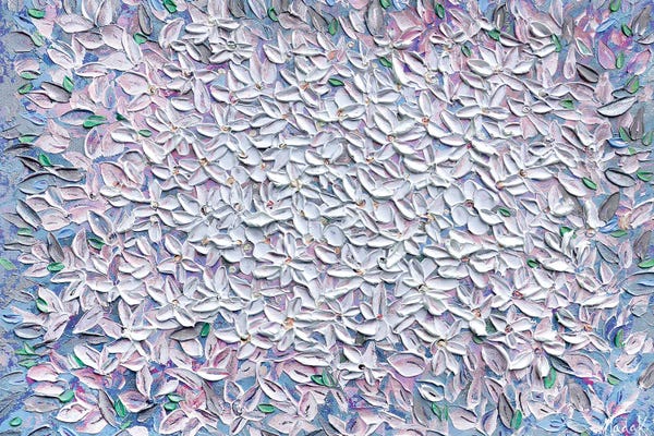 Jasmine - Blue Purple