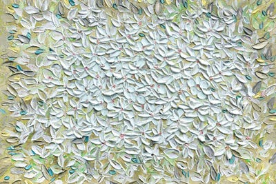 Jasmine - Yellow White by Nada Khatib canvas print