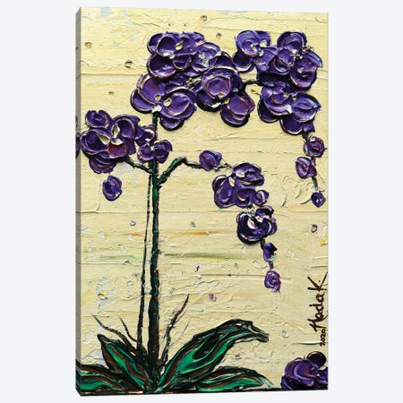 Orchid - Purple Yellow Canvas Print #NKH84} by Nada Khatib Canvas Wall Art