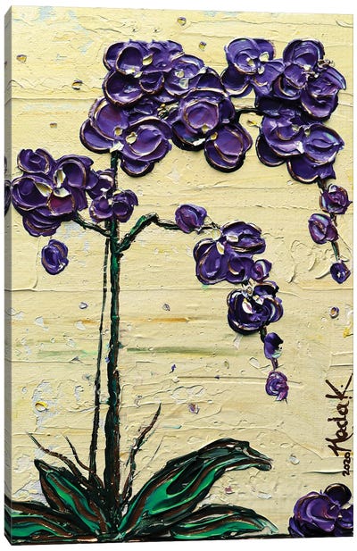 Orchid - Purple Yellow Canvas Art Print - Orchid Art