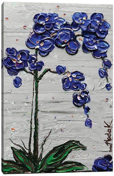 Orchid - Blue Gray Canvas Art Print - Zen Garden