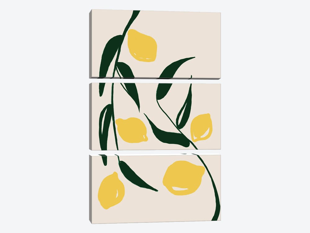 Lemon Trees by Nikki 3-piece Canvas Art