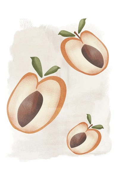 Apricot Painting by Nikki framed wall art