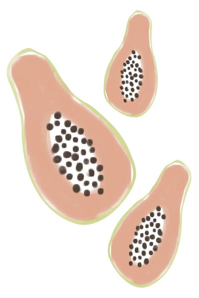 Papaya by Nikki framed wall art