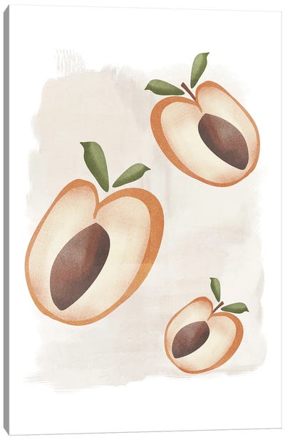 Apricot Painting Canvas Art Print - Nikki