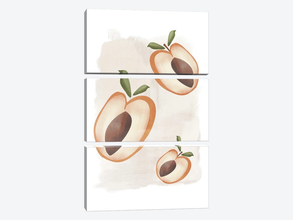 Apricot Painting by Nikki 3-piece Canvas Art Print