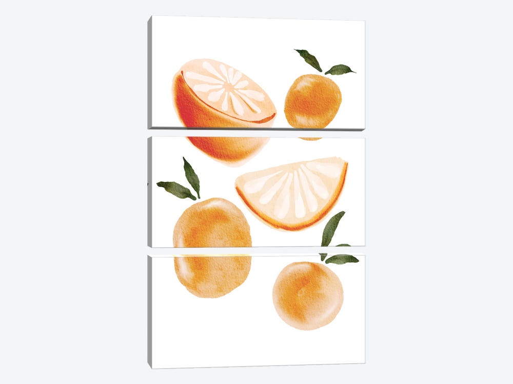 Oranges by Nikki 3-piece Canvas Art Print