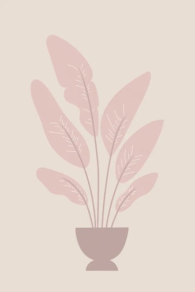 Minimalist Bohemian Decor: Tropical Banana Tree by Nikki